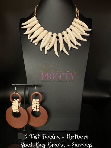 Paparazzi Necklace & Earring Set -